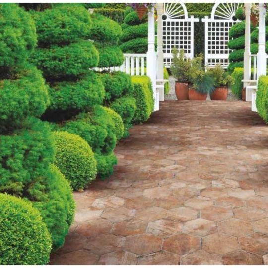 hexa esagona old chicago terasz jarda felujitas kerti burkolat mediterran country balaton.JPG